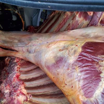В Имишлинском районе утилизировали непригодное к употреблению мясо крупного рогатого скота - trend.az - Азербайджан