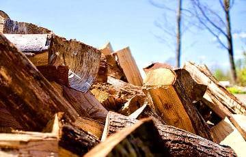 В Минском районе не хватает дров и торфа на зиму - charter97.org - Белоруссия - Дзержинск - Минск