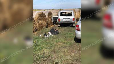 Раненный при задержании воронежский подрывник-убийца за неделю не пришёл в себя - vestivrn.ru - Воронеж - Воронежская обл.