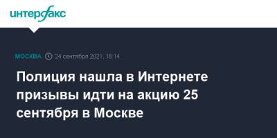 Сергей Удальцов - Полиция нашла в Интернете призывы идти на акцию 25 сентября в Москве - interfax.ru - Москва - Россия