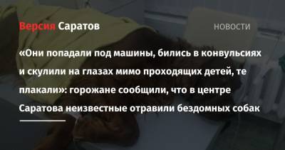 «Они попадали под машины, бились в конвульсиях и скулили на глазах мимо проходящих детей, те плакали»: горожане сообщили, что в центре Саратова неизвестные отравили бездомных собак - nversia.ru - Саратовская обл. - Саратов