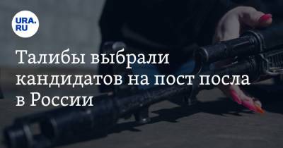 Талибы выбрали кандидатов на пост посла в России - ura.news - Россия - США - Афганистан - Кабул