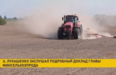 Александр Лукашенко - Лукашенко поручил аграриям в течение недели завершить сев озимых - ont.by - Белоруссия