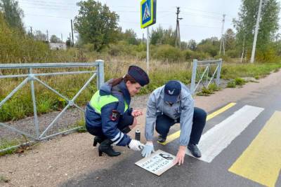 «Говорящие зебры» украсили новгородские дороги - mk.ru - Россия