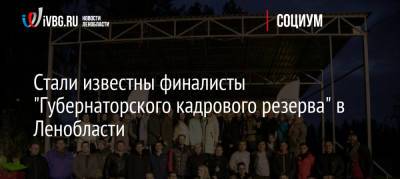 Александр Дрозденко - Стали известны финалисты «Губернаторского кадрового резерва» в Ленобласти - ivbg.ru - Украина - Ленинградская обл.
