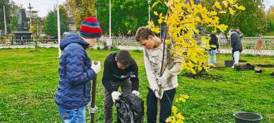 Венгерские сирени и шершавые вязы появились в одном из скверов Петрозаводска - stolicaonego.ru - Петрозаводск