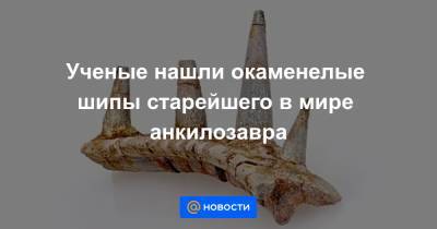 Ученые нашли окаменелые шипы старейшего в мире анкилозавра - news.mail.ru - Англия - Марокко
