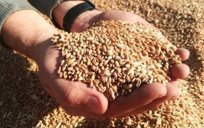 Роман Лещенко - Украина намерена продать пшеницы на $6 млрд за год - korrespondent.net - Украина - Аграрии