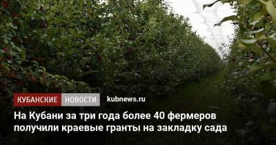 Вениамин Кондратьев - На Кубани за три года более 40 фермеров получили краевые гранты на закладку сада - kubnews.ru - Краснодарский край