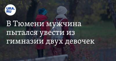 В Тюмени мужчина пытался увести из гимназии двух девочек. «Предложил выйти за шоколадку» - ura.news - Тюмень