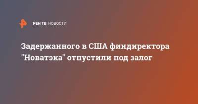 Задержанного в США финдиректора "Новатэка" отпустили под залог - ren.tv - США - шт.Флорида