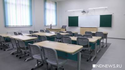 Все саратовские школы уходят на «дистанционку» с понедельника - newdaynews.ru - Саратовская обл. - Саратов