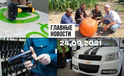 Опасная тенденция, в шоке от шокеров и работа над фальшивками. Новости Узбекистана: главное на 24 сентября - podrobno.uz - Узбекистан - Ташкент