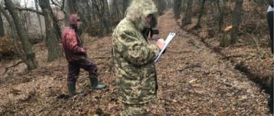 На Луганщине будут судить работников лесного хозяйства, нанесших убытков на миллион гривень - w-n.com.ua - Украина