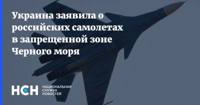 Владимир Зеленский - Украина заявила о российских самолетах в запрещенной зоне Черного моря - nsn.fm - Россия - Украина - Черное Море