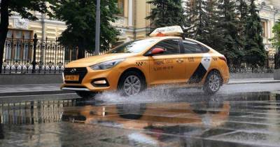 Приборы для контроля сонливости водителей предложили в России - ren.tv - Россия - Минтранс