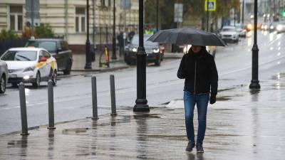 Синоптики сообщили москвичам о погоде 25 сентября - vm.ru - Москва - Московская обл.