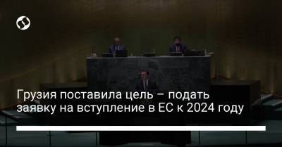 Грузия поставила цель – подать заявку на вступление в ЕС к 2024 году - liga.net - Россия - Украина - Грузия