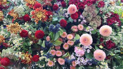 Москвичам рассказали, как сады «Цветочного джема» переживают непогоду - vm.ru - Россия