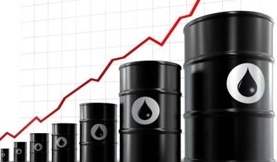 Санкции не страшны: эксперты предсказывают рост цен на нефть - newizv.ru - США