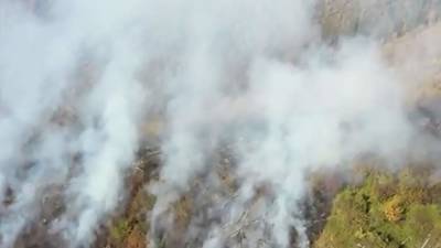 Загоревшуюся в Хабаровском крае сопку сняли на видео - iz.ru - Крым - Израиль - Хабаровский край - Горный