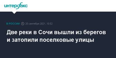 Алексей Копайгородский - Две реки в Сочи вышли из берегов и затопили поселковые улицы - interfax.ru - Москва - Сочи