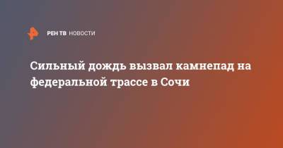 Сильный дождь вызвал камнепад на федеральной трассе в Сочи - ren.tv - Сочи - район Лазаревский, Сочи