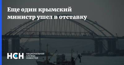 Сергей Аксенов - Еще один крымский министр ушел в отставку - nsn.fm - Крым - Севастополь