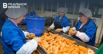 Максим Платонов - В Татарстане за неделю снизились цены на продукты «борщевого набора» - realnoevremya.ru - респ. Татарстан