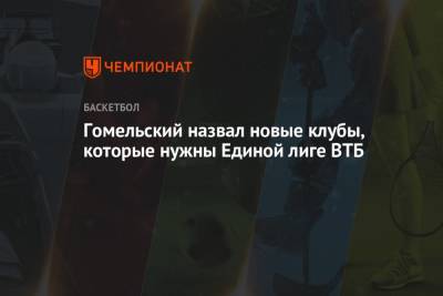 Владимир Гомельский - Гомельский назвал новые клубы, которые нужны Единой лиге ВТБ - championat.com - Турция - Самара - Ижевск