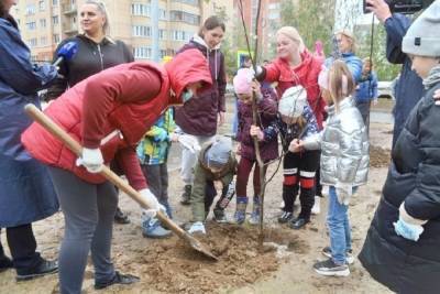 На территории новой школы в Серпухове высадили деревья - serp.mk.ru