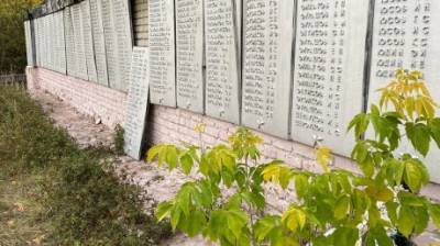Соцсети: в селе Рянза мемориал разрушается и зарастает бурьяном - penzainform.ru - Пенза