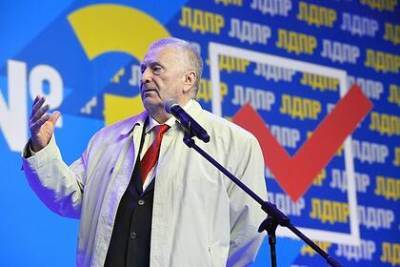 Владимир Путин - Владимир Жириновский - Жириновский заявил о «готовых с улыбкой всадить нож в спину» партиях - lenta.ru - Россия