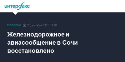 Алексей Копайгородский - Железнодорожное и авиасообщение в Сочи восстановлено - interfax.ru - Москва - Сочи