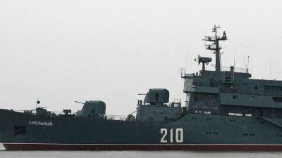 NetEase: британцы испугались появления российского корабля «Смольный» на учениях НАТО - inforeactor.ru - Россия - Англия