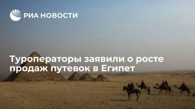 Туроператоры: россияне бронируют отдых в Египте на ноябрьские праздники и Новый год - ria.ru - Москва - Россия - Египет