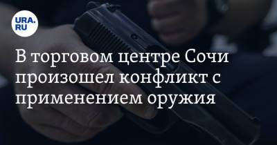 Иларион Алфеев - В торговом центре Сочи произошел конфликт с применением пистолета. Видео - ura.news - Москва - Сочи