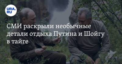 Сергей Шойгу - Владимир Путин - СМИ раскрыли необычные детали отдыха Путина и Шойгу в тайге. Видео - ura.news - Россия
