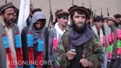 Забиулла Муджахид - «Талибан» просит Россию о помощи - rusonline.org - Россия - Афганистан