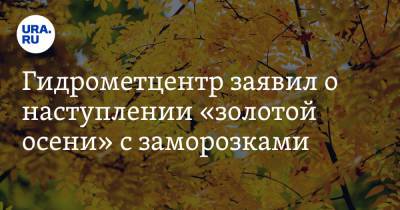 Роман Вильфанд - Гидрометцентр заявил о наступлении «золотой осени» с заморозками - ura.news - Москва - Россия