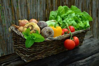 Тарелка с разноцветными продуктами на столе – залог здоровья - volg.mk.ru