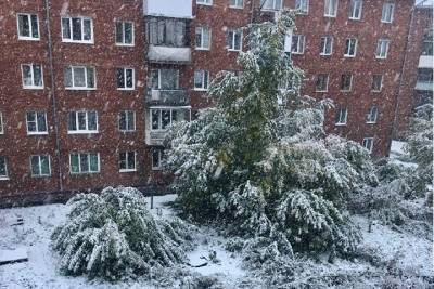 Первый снег выпал в регионах Сибири: ДТП, падение деревьев и укладка асфальта - tayga.info - Иркутская обл. - респ.Бурятия - Иркутск - Кемерово