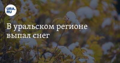 Евгений Тишковец - В уральском регионе выпал снег - ura.news - Пермский край