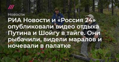 РИА Новости и «Россия 24» опубликовали видео отдыха Путина и Шойгу в тайге. Они рыбачили, видели маралов и ночевали в палатке - tvrain.ru - Россия