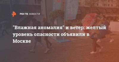 "Влажная аномалия" и ветер: желтый уровень опасности объявили в Москве - ren.tv - Москва