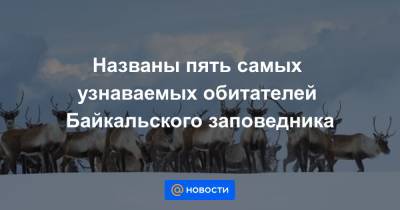 Названы пять самых узнаваемых обитателей Байкальского заповедника - news.mail.ru - Россия - респ.Бурятия