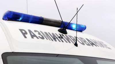 Три торговых центра эвакуировали в Новосибирске из-за «минирования» - inforeactor.ru - Новосибирск - Новосибирская обл.