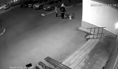 В Тюмени одетый в штору мужчина украл вазу с цветами - nashgorod.ru - Тюмень