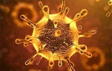Питер Дасзак - Журнал Lancet распустил группу ученых, изучавших происхождение коронавируса - charter97.org - Китай - США - Колумбия - Белоруссия - Ухань
