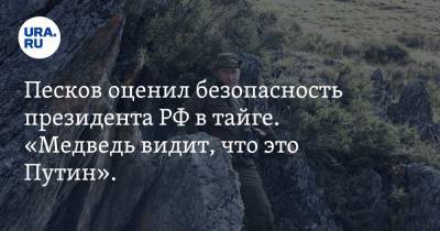 Сергей Шойгу - Владимир Путин - Дмитрий Песков - Песков оценил безопасность президента РФ в тайге. «Медведь видит, что это Путин». Видео - ura.news - Москва - Россия